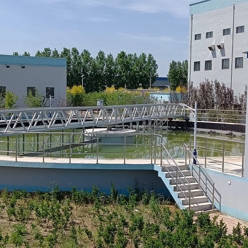 Вспомогательные скребки для отстойников с радиальным потоком (2)