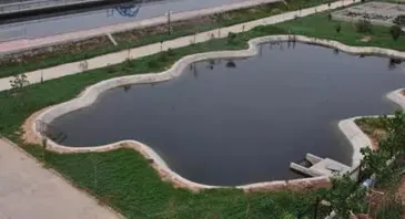 202102220720197721