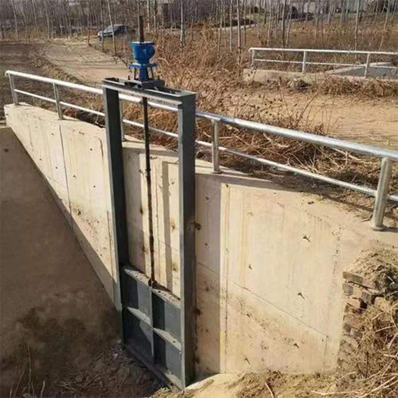 Шлюзовые затворы (2)
